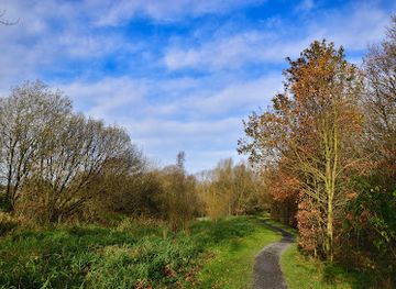 united-kingdom/tyrone/attraction/oxford-island-nature-reserve