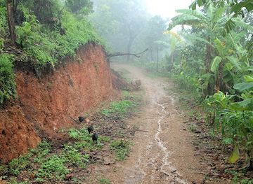 myanmar-burma/rakhine-yoma/attraction/arakan-mountains