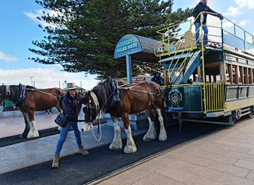 Victor Harbor Horse Drawn Tramway
