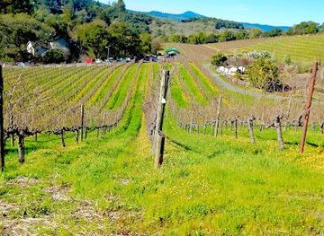 california/napa/attraction/benziger-family-winery