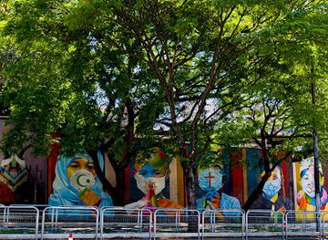 brazil/sao-paulo/vila-madalena/attraction/mural-do-kobra-coexistencia