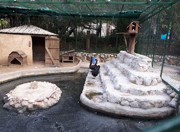 lebanon/jounieh/attraction/animal-city