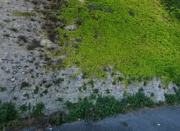 france/montpellier/attraction/une-belle-route