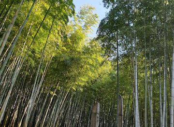 south-korea/gwandong-region/attraction/ahopsan-forest