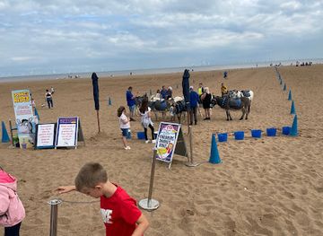 united-kingdom/skegness/attraction/eptons-donkey-rides