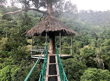 thailand/koh-samui/maenam/attraction/namtok-zong-raue