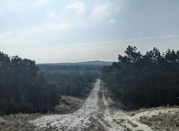 lithuania/curonian-spit-national-park/attraction/giedruze-dune