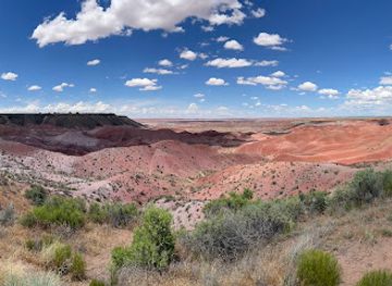 arizona/red-rock-country/attraction/petrified-forest-national-park