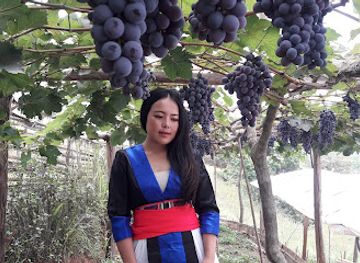 laos/oudomxay-province/attraction/suan-ang-nong-ban-na-saen-kam