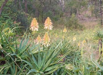 zimbabwe/mashonaland-central/attraction/ewanrigg-garden