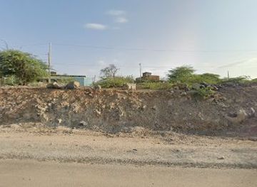 kenya/lake-turkana/attraction/green-turkana-initiative