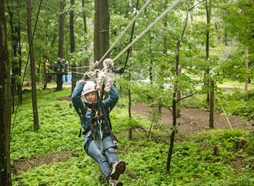 west-virginia/coopers-rock-state-forest/attraction/wvu-zipline-canopy-tour-wvu-outdoor-education-center