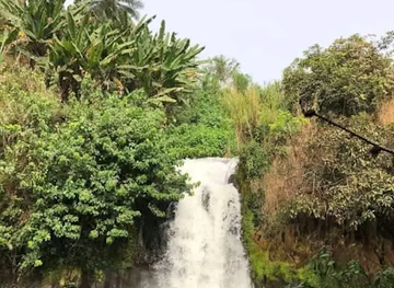 cameroon/banyang-mbo-wildlife-sanctuary/attraction/nkongsamba