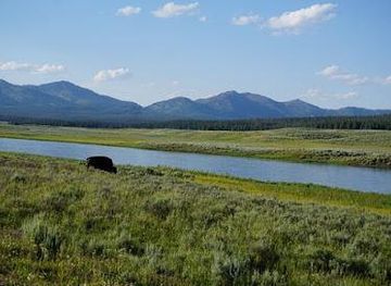 montana/yellowstone-national-park/attraction/hayden-valley