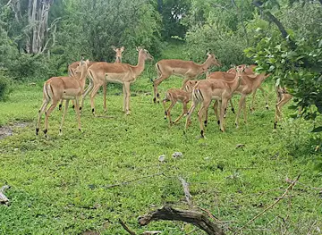 Zimbabwe National Parks Darwendale Recreational Park