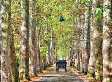 bosnia-and-herzegovina/sarajevo/attraction/velika-aleja