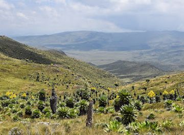 kenya/central-highlands/attraction/aberdare-range