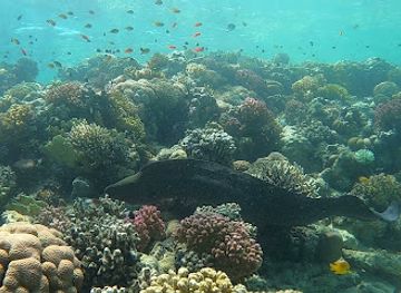 egypt/red-sea-coast/attraction/snorkling-dive