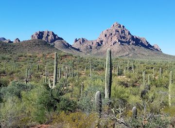 arizona/sonoran-desert/attraction/ironwood-forest-national-monument