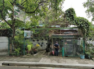 philippines/cebu/attraction/jumalon-butterfly-sanctuary-and-art-gallery