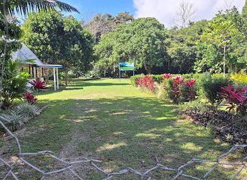 tonga/pangaimotu/attraction/toloa-rainforest