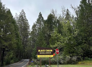 california/sierra-nevada/attraction/black-chasm-cavern-national-natural-landmark
