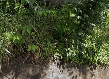 brazil/salvador/barra/attraction/parque-de-salvador