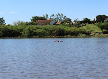 kenya/kisumu/nyamasaria/attraction/hippo-point