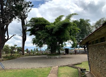 papua-new-guinea/madang-province/attraction/jk-mccarthy-museum