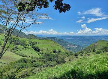 colombia/serrania-del-perija/attraction/serrania-de-los-yariguies-national-natural-park