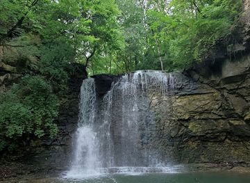 Hayden Falls Park