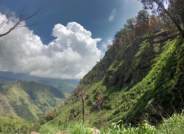 sri-lanka/ella/attraction/stump-of-good-faith