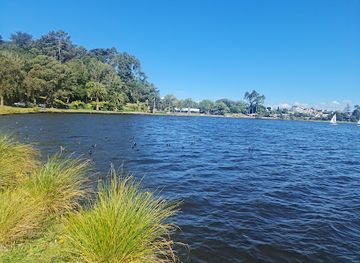 new-zealand/hamilton/chartwell/attraction/hamilton-lake-domain