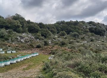 greece/crete/attraction/chainospilios-cave
