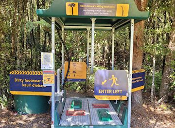 new-zealand/northland/attraction/trounson-kauri-park
