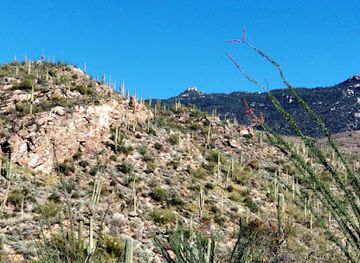 arizona/saguaro-national-park/attraction/garwood-dam