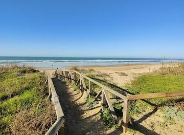 spain/cadiz/attraction/playa-de-el-palmar