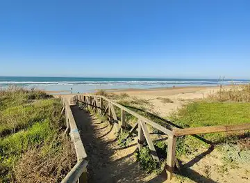 Playa de El Palmar