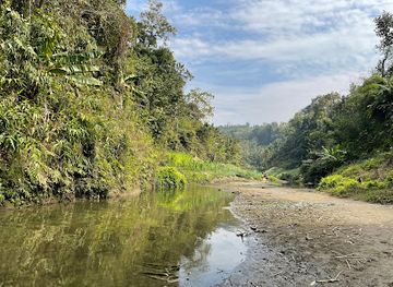 bangladesh/bandarban-hill-tracts/attraction/debotakhum-rowangchori