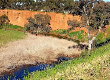 australia/barossa-valley/attraction/clonlea-park