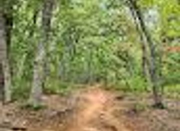 south-carolina/greer/attraction/brissy-ridge-trailhead