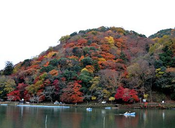 japan/kyoto/arashiyama/attraction/arashiyama-park-kameyama-area