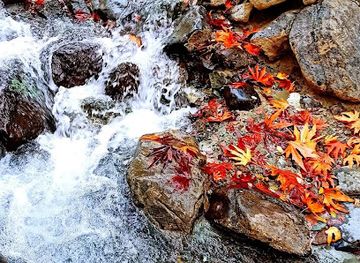 cyprus/troodos-mountains/attraction/sightseeing-spot-amiantos-river