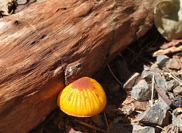 brazil/foz-do-iguacu/vila-a/attraction/hello-world