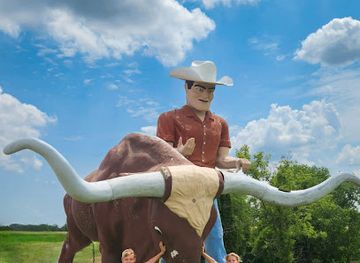 iowa/yellow-river-state-forest/attraction/cowboy-bull