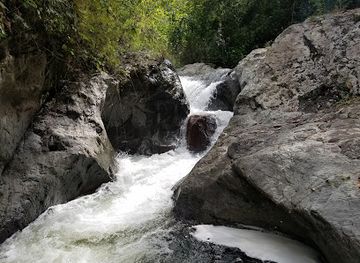 honduras/olancho-region/attraction/parque-ecologico-las-orquideas