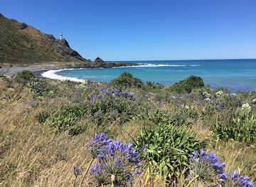 new-zealand/bay-of-plenty/attraction/cape-palliser-lighthouse