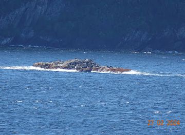 new-zealand/southland/attraction/seal-rock