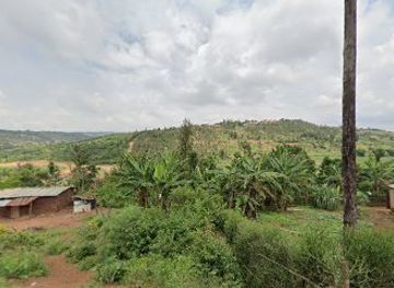 rwanda/kigali-province/attraction/wildlife-conservation-and-education