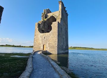 ireland/county-kerry/attraction/carrigafoyle-ballylongford-co-kerry-wetlands-wildlife